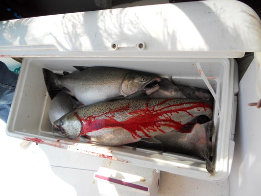 Blood Run Fishing Copper Fishing Wire