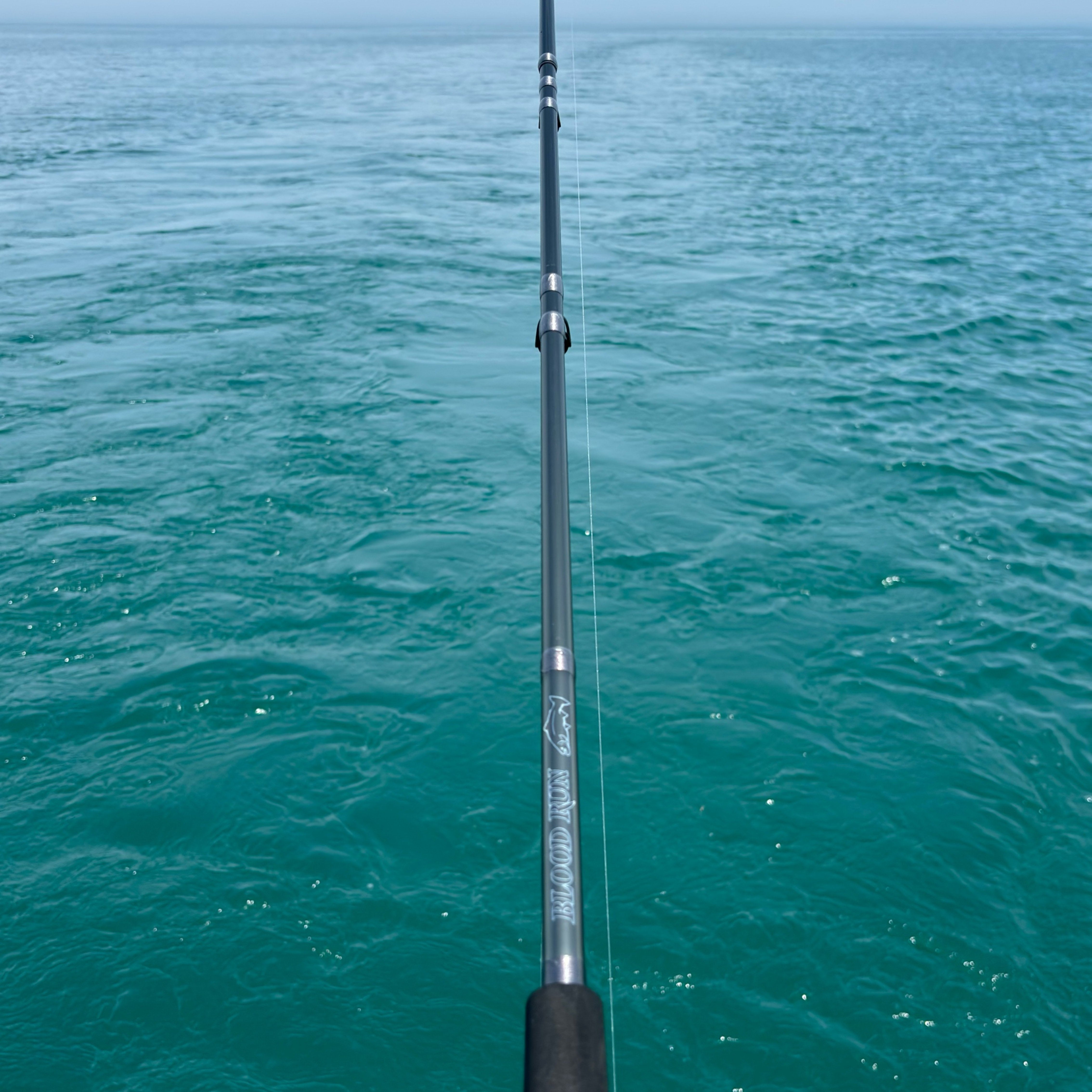 auberdine fishing pole Livewire Downrigger Planer Board Rod