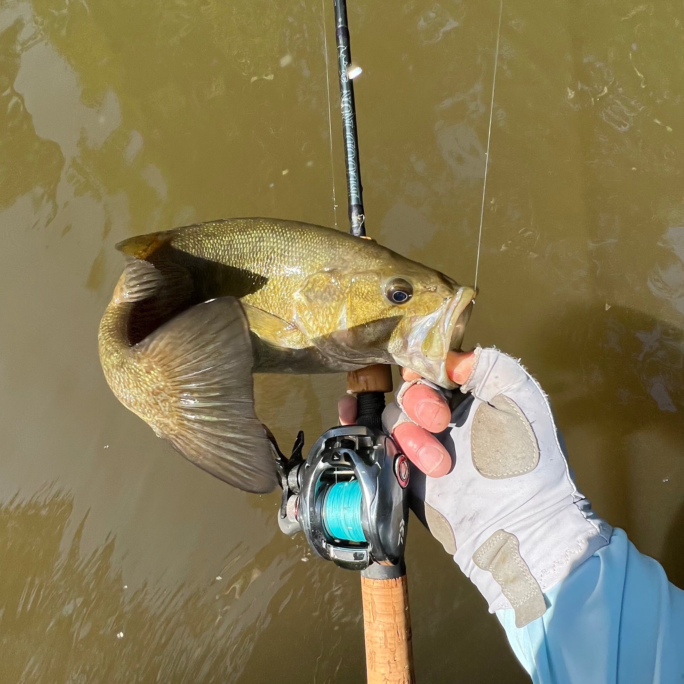 baitcasting steelhead rod Blood Run Tackle Ironhead Baitcaster Float Rod