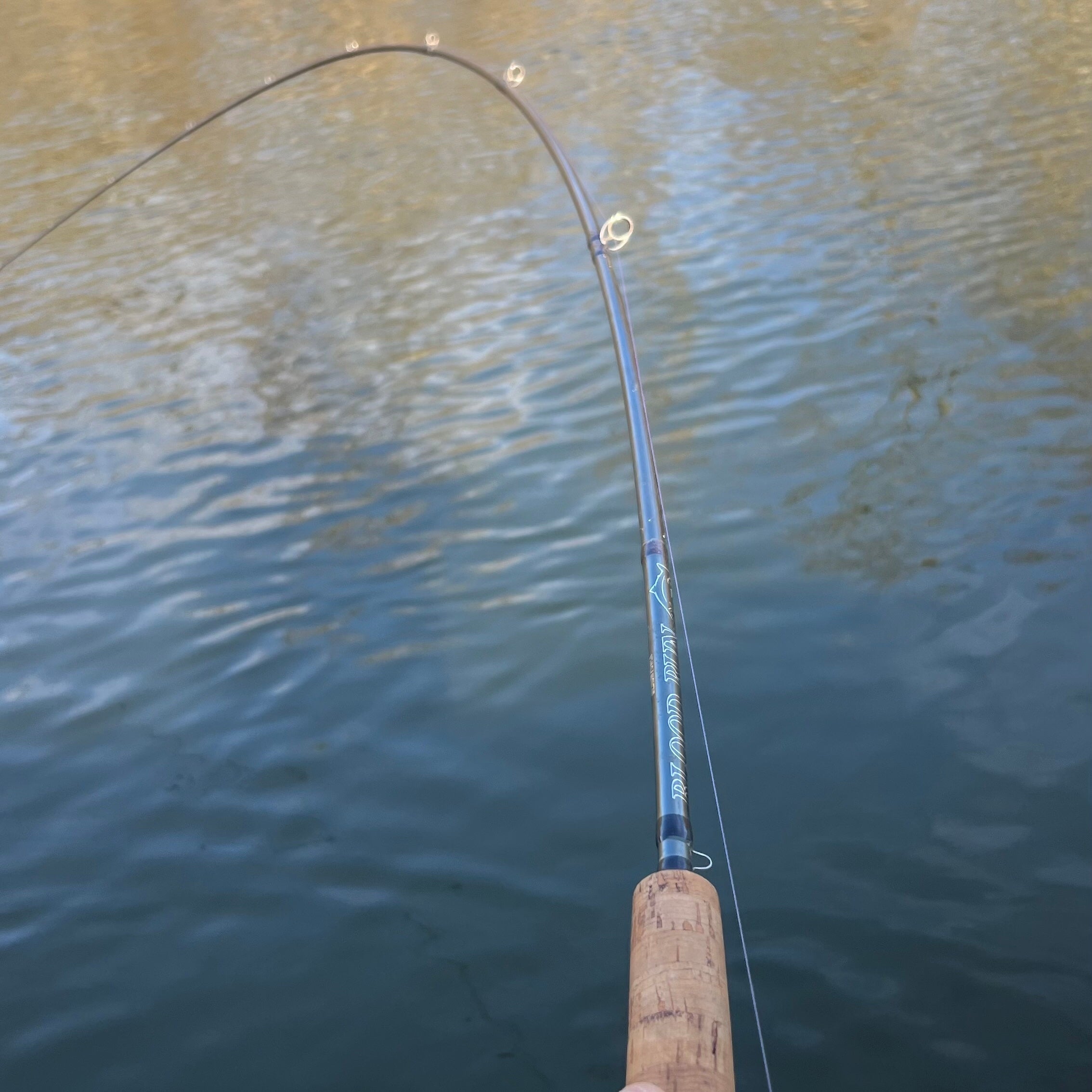 casting reel for float fishing steelhead Blood Run Ironhead Baitcast Float Rod 11'6" 6-12LB