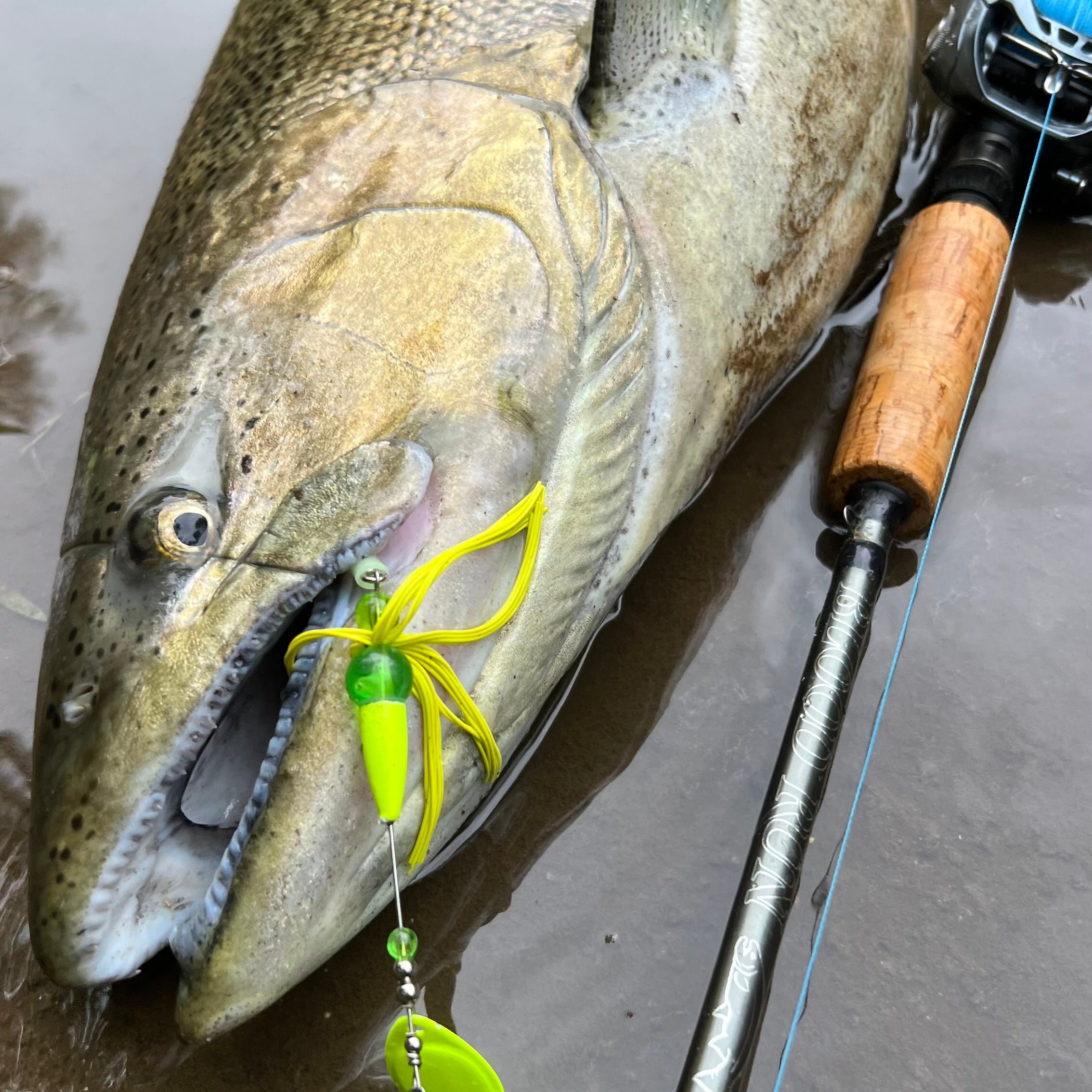 baitcasting steelhead rod Salmon Steelhead Baitcaster Float Drift Rod - Ironhead 2 Piece