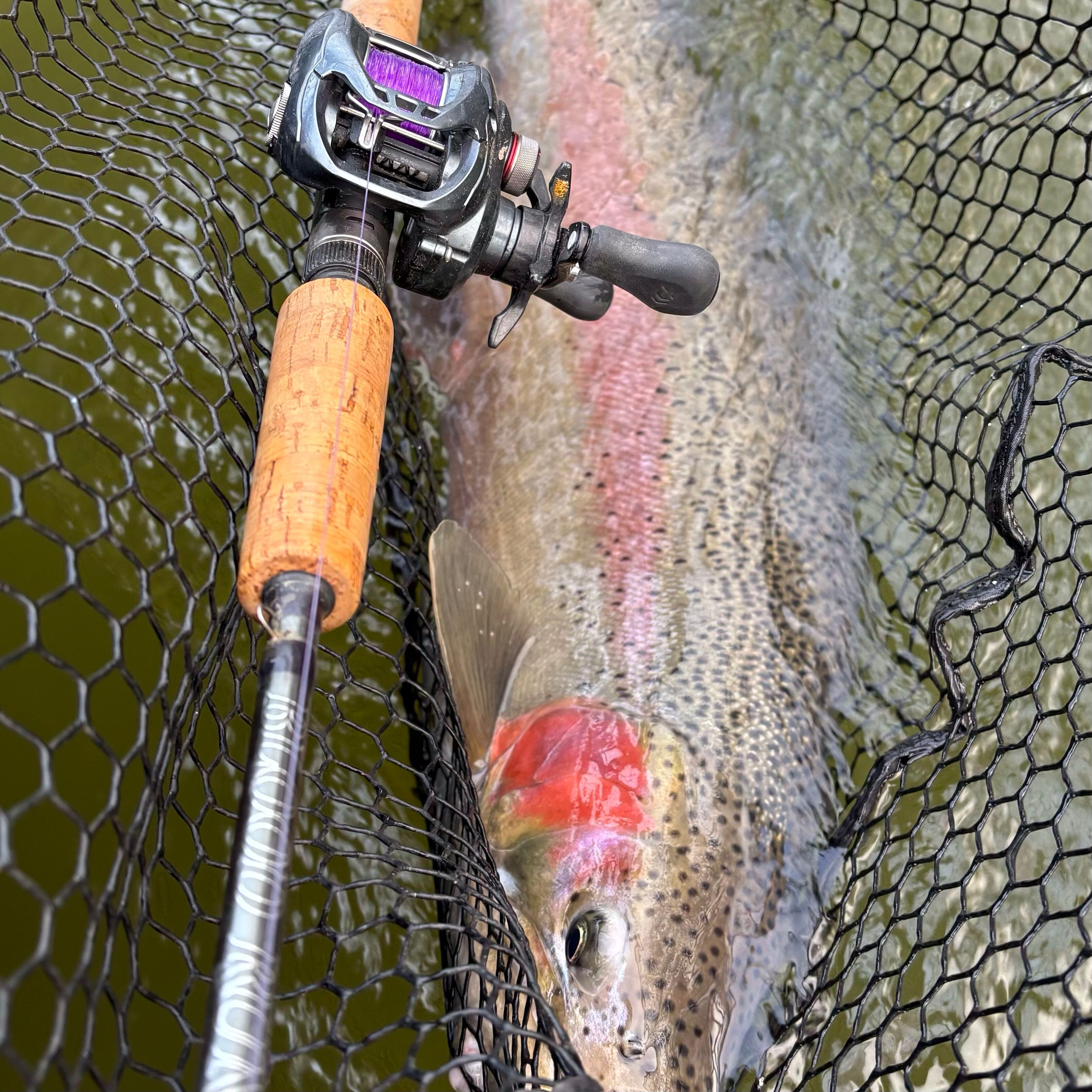 casting reel for float fishing steelhead Blood Run Ironhead Baitcast Float Rod 11'6" 6-12LB