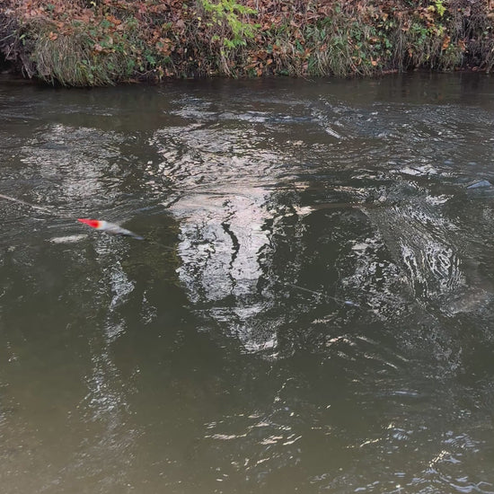 Fall steelhead fishing in Wisconsin in a small creek using an 11 gram Blood Run camo Plunger float, 12lb test SSF Float fishing mainline, 10lb test Blood Run STS fluorocarbon leader, 8mm peach fishing bead and size 6 Blood Run skeena fishing hook